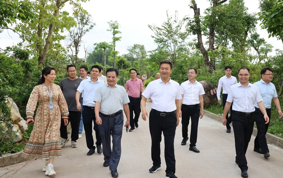 桂平市市长黄德佳等领导到我校指导工作 丨 开云网页版